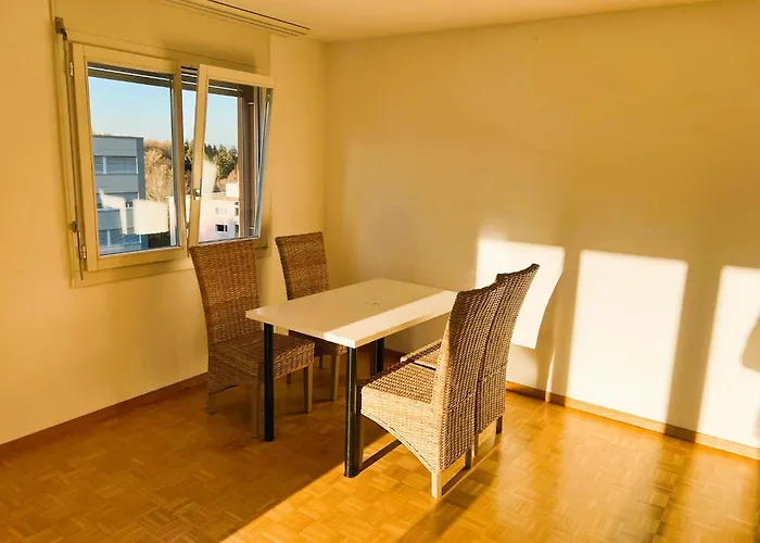 Huge Apartments, Multiple Bedrooms With Balcony In Luzern Center - Self Checkin