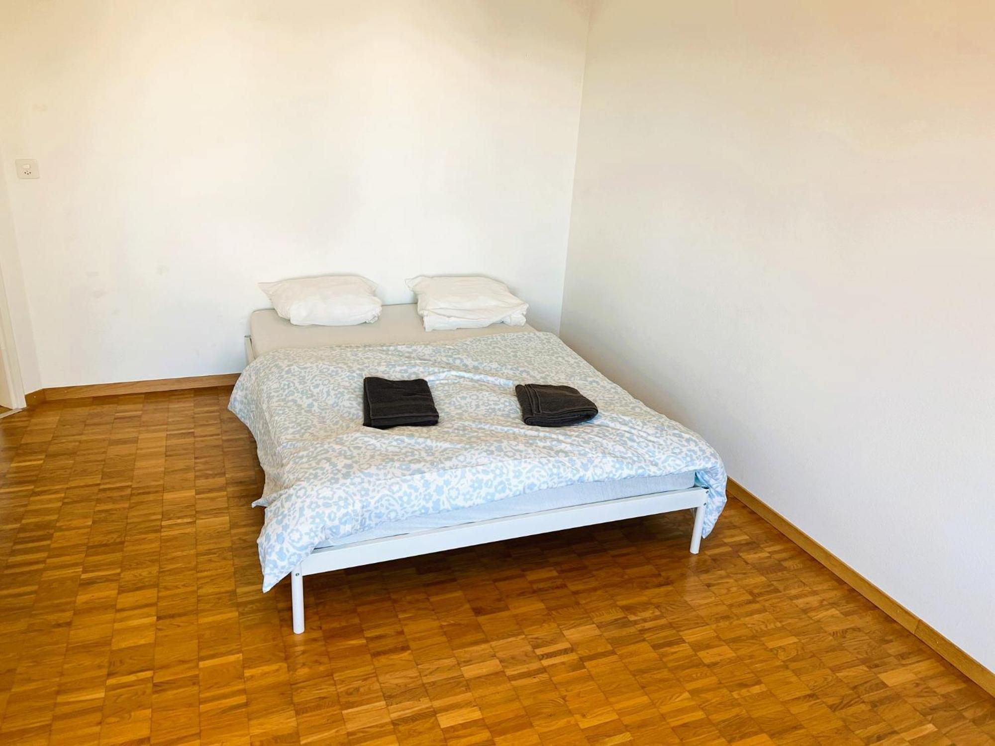 Huge Apartments, Multiple Bedrooms With Balcony In Center - Self Checkin Lucerna